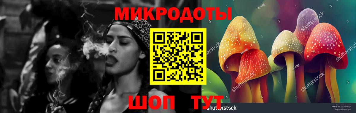 Тайшет  Псилоцибиновые грибы Cubensis  Галлюциногенные грибы GOLDEN TEACHER  Вход с VPN 